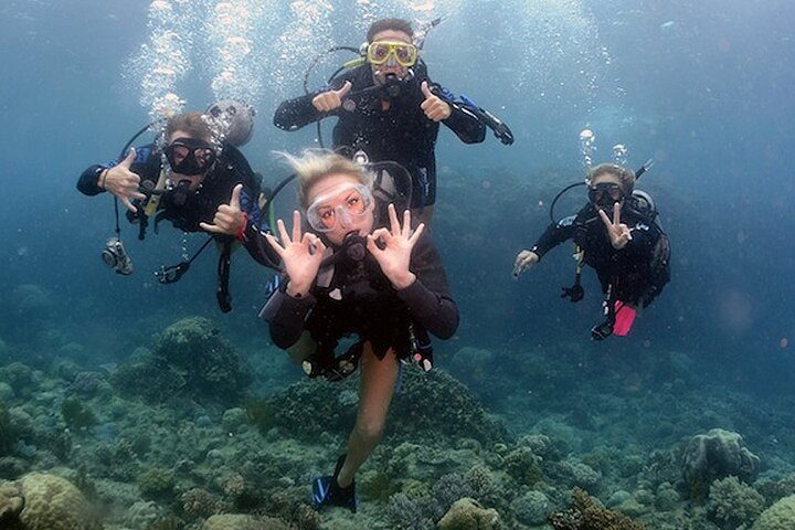 Explore the underwater realm as you learn to scuba dive in Dubai. Experience the joy of connecting with marine life and enjoy the company of fellow adventurers in crystal-clear waters.